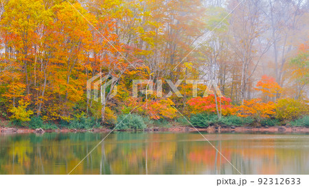 仙人池の紅葉(笹ヶ峰高原) 仙人池の紅葉(笹ヶ峰高原) 92312633