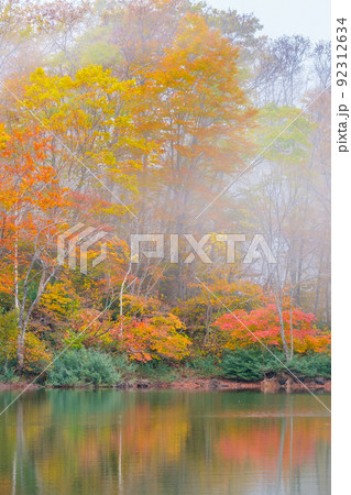 仙人池の紅葉(笹ヶ峰高原) 仙人池の紅葉(笹ヶ峰高原) 92312634
