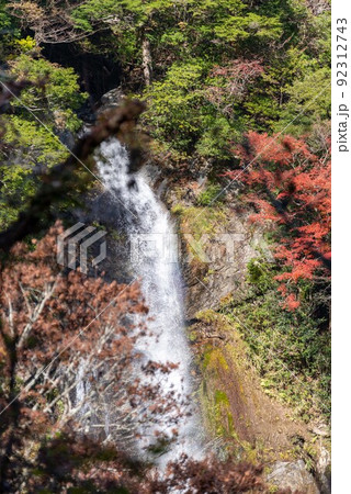 熊本県五家荘せんだん轟の滝 熊本県五家荘せんだん轟の滝 92312743