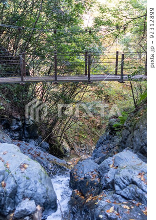熊本県五家荘梅の木轟公園 92312899