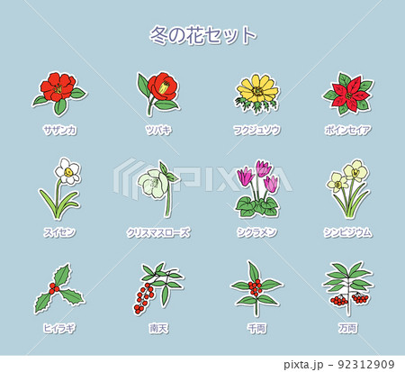 冬の花のイラストセット　白フチ 92312909