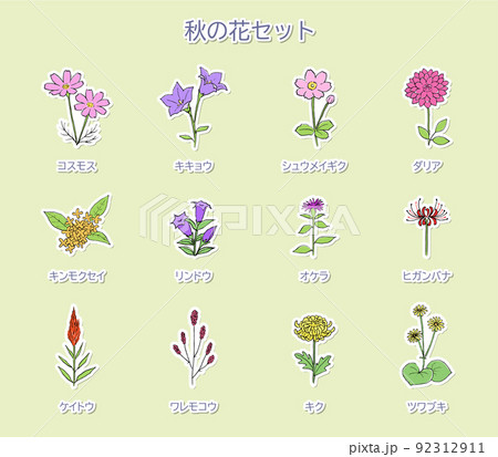 秋の花のイラストセット 白フチ 秋の花のイラストセット 白フチ 92312911