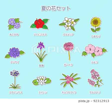 夏の花のイラストセット　白フチ 92312913