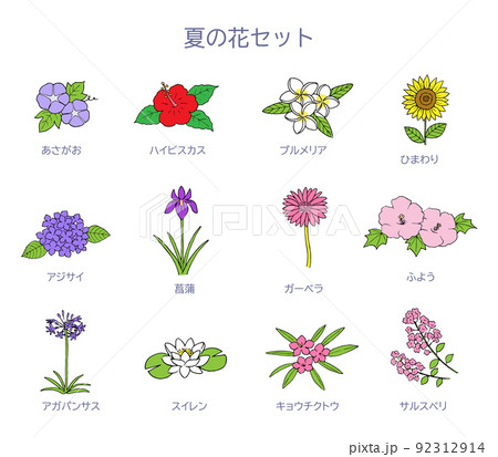 夏の花のイラストセット 92312914