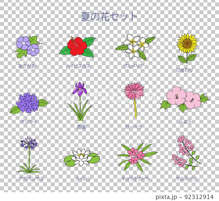 夏季花卉插圖集 92312914