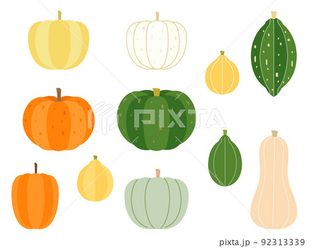 いろいろな種類のカボチャのイラストのセット いろいろな種類のカボチャのイラストのセット 92313339