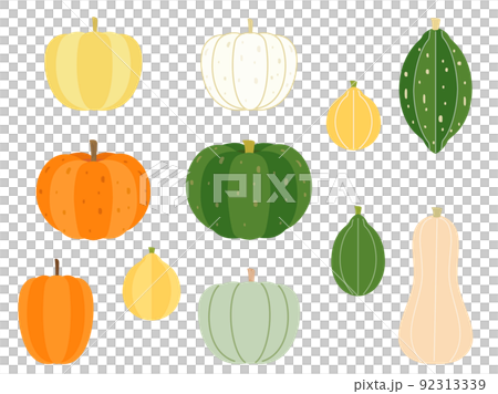 いろいろな種類のカボチャのイラストのセット いろいろな種類のカボチャのイラストのセット 92313339