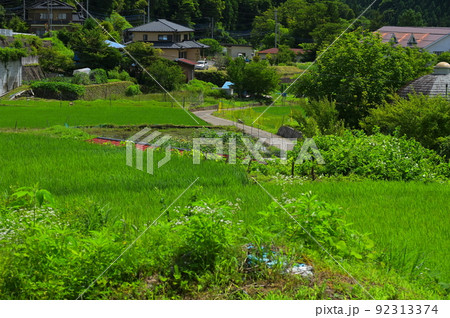 夏の原風景 道志の里 夏の原風景 道志の里 92313374