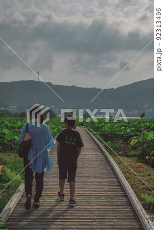 諫早 唐比のハス 諫早 唐比のハス 92313496