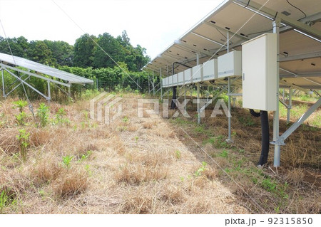 除草剤を散布し雑草が枯れた太陽光発電所 除草剤を散布し雑草が枯れた太陽光発電所 92315850