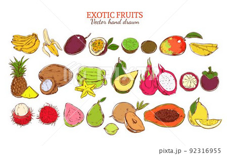 Colored Fresh Natural Exotic Fruits Set 92316955