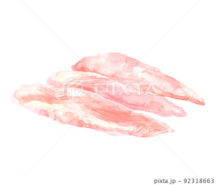水彩で描いた鶏ささみのイラスト 92318663
