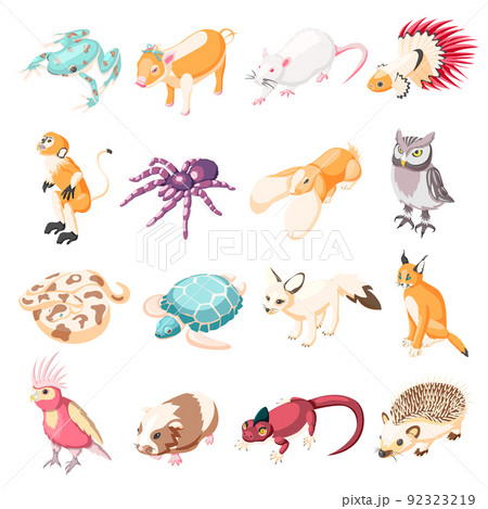 Exotic Pets Isometric Icons 92323219