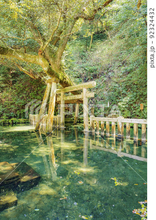 茨城　鹿島神宮の御手洗池 92324432