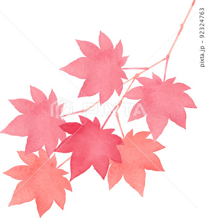 水彩で描いた紅葉の枝 水彩で描いた紅葉の枝 92324763