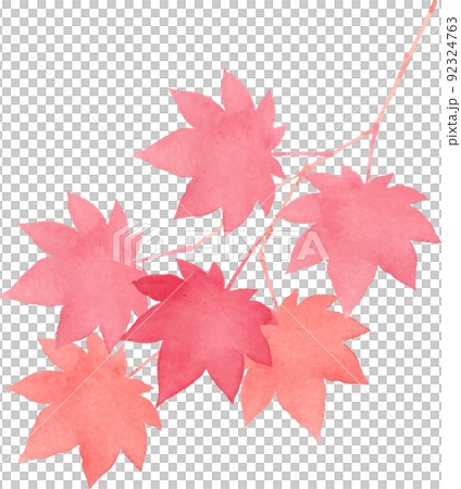 水彩で描いた紅葉の枝 水彩で描いた紅葉の枝 92324763