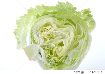 レタス　　白バック 92324904
