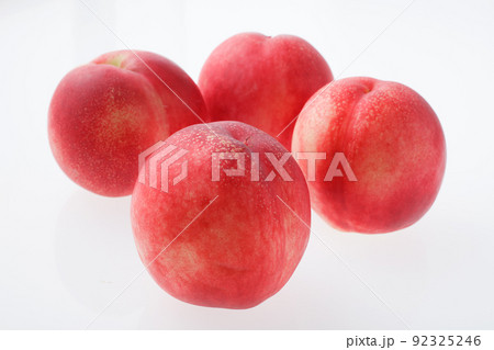 ネクタリン　　白バック 92325246