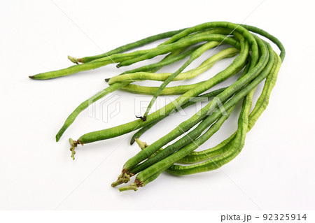 三尺ささげ 92325914