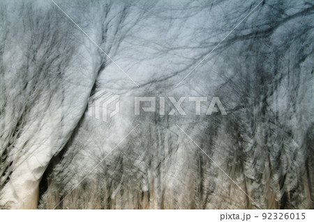 里山イメージ 92326015