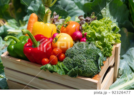 Wooden crate filled with fresh organic vegetables in farm. Wooden crate filled with fresh organic vegetables in farm. 92326477