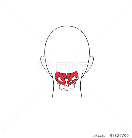 筋肉の簡単な図 後頭下筋群 筋肉の簡単な図 後頭下筋群 92326700