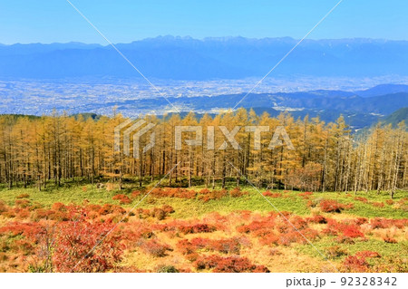 美ヶ原高原・レンゲツツジの紅葉 92328342