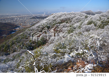 大小山の雪景色 山頂南側小ピークから南西方面に広がる谷を見る 大小山の雪景色 山頂南側小ピークから南西方面に広がる谷を見る 92329915