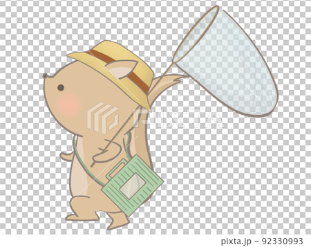 Illustration of a squirrel squirrel 92330993