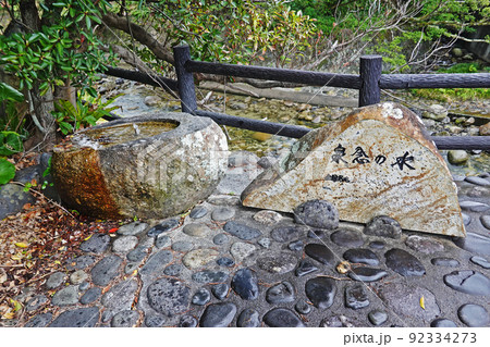 屋久島 中間ガジュマル群 屋久島 中間ガジュマル群 92334273