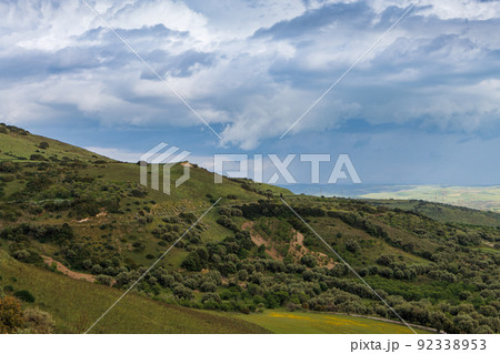 In the Parco della Giara nature reserve on the island of Sardinia 92338953