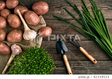 Gardening tools and fresh vegetables over wooden background Gardening tools and fresh vegetables over wooden background 92339523