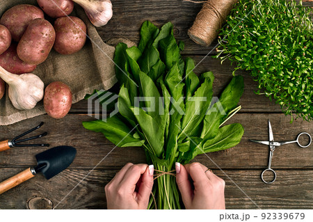 Woman hands holding fresh organic spinach leaves. Vegetables, onion, garlic, potatoes, spinach, lettuce leaves on wooden background Woman hands holding fresh organic spinach leaves. Vegetables, onion, garlic, potatoes, spinach, lettuce leaves on wooden background 92339679
