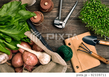 Red potatoes on burlap, garlic with greenery and a garden spade and rake on a wooden brown background 92339711