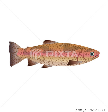 trout fish cartoon vector illustration 92340974