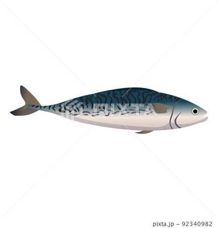 mackerel fish cartoon vector illustration mackerel fish cartoon vector illustration 92340982