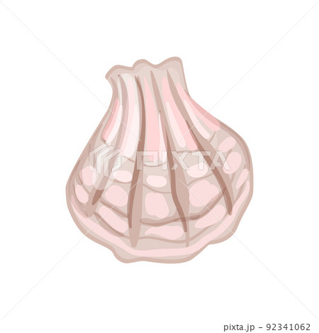 spiral sea shell cartoon vector illustration spiral sea shell cartoon vector illustration 92341062