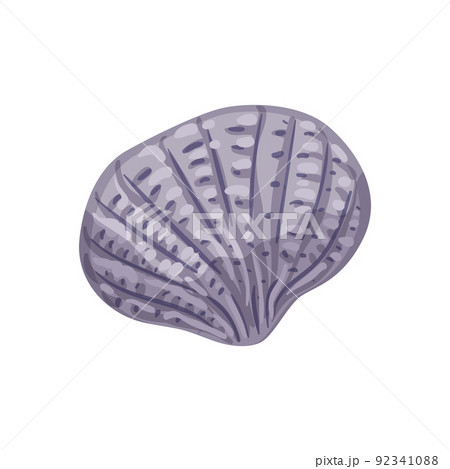 beach sea shell cartoon vector illustration beach sea shell cartoon vector illustration 92341088