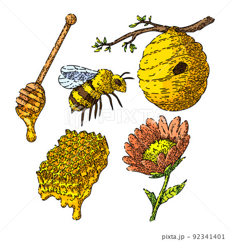 honey bee set sketch hand drawn vector 92341401