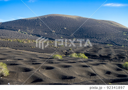 Lanzarote, Canary Islands 92341897