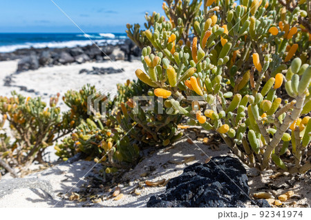 Lanzarote, Canary Islands 92341974