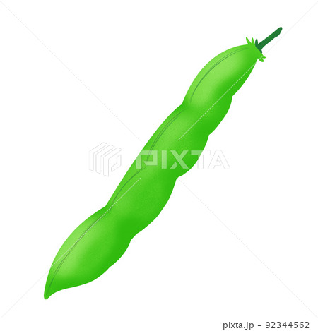 野菜　いんげん1 92344562