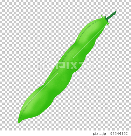 野菜　いんげん1 92344562