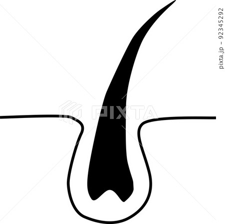 毛穴から生える毛のイメージ 92345292