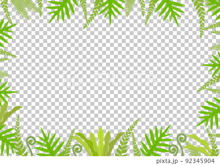 Fern frames of various shapes on a white background 92345904