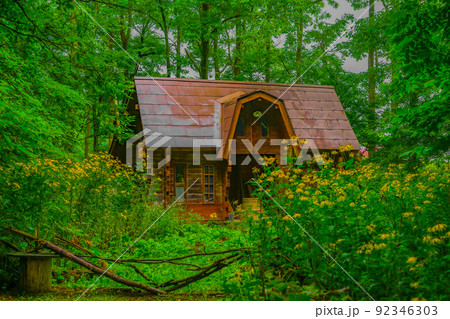 森の中の小屋 92346303
