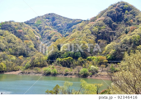 春の奥野公園と松川湖 92346416