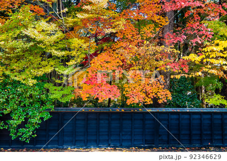 秋田県仙北市 紅葉の角館武家屋敷通り 秋田県仙北市 紅葉の角館武家屋敷通り 92346629