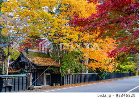 秋田県仙北市 紅葉の角館武家屋敷通り ~青柳家~ 秋田県仙北市 紅葉の角館武家屋敷通り ~青柳家~ 92346829
