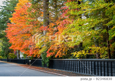 秋田県仙北市 紅葉の角館武家屋敷通り　～青柳家～ 92346830